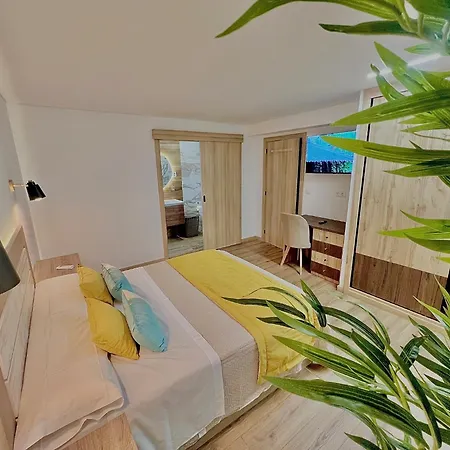 A Casa Dos Sonhos *